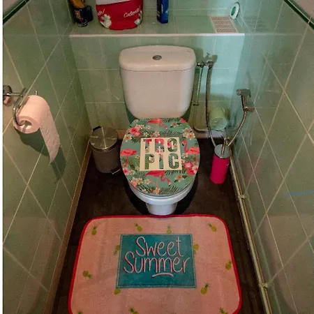 Bright Floor With Terrace And Garden * Bezannes